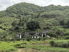 -福建土楼（华安）旅游区•大地土楼群