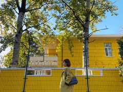 -三里屯东五街银杏大道