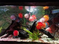 -上海海洋水族馆