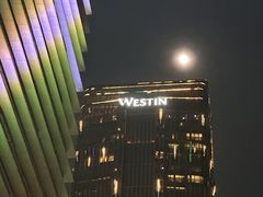 -广交会威斯汀酒店