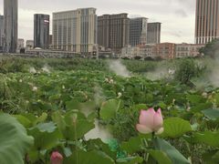 -嘉模圣母教堂