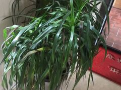 -今日东坡·满庭芳(广汉店)