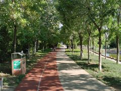 -绿岛公园(滨海新区)