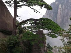 -临街徽菜馆·正宗黄山味