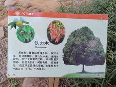 -中国科学院西双版纳热带植物园