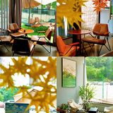 在江门‼️来吃个惬意的天台brunch ～ 