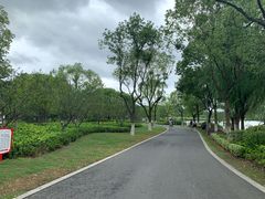 -昆山城市生态森林公园