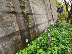-重庆平顶山公园