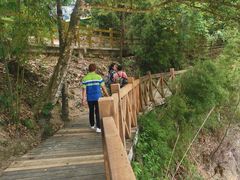 -广州市流溪河国家森林公园