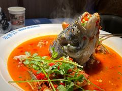 -坛宗剁椒鱼头(河西王府井店)