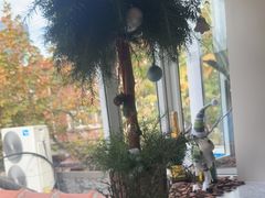 -蝶舍·MAISON PAPILLON