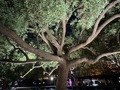 -湖畔居茶楼(湖滨店)