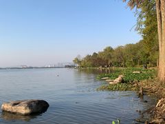 -长广溪湿地公园