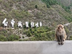 -白帝城·瞿塘峡景区