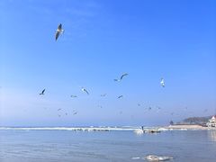 -老虎石海上公园