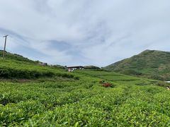 -嵛山岛