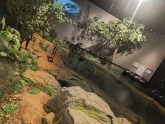 -北京周口店北京人遗址博物馆