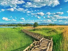 -野鸭湖国家湿地公园