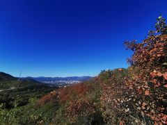 -北京西山国家森林公园