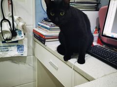 -萌兽医馆·宠物医院·猫骨科(创景店)