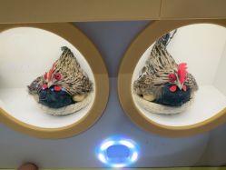 -嗨贝天地亲子乐园 · 生日派对·VR对战(万象城店)