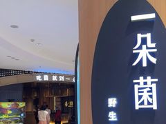 -一朵菌·野生菌探索家火锅(南亚店)