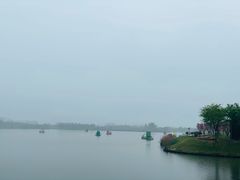 -荷兰花海
