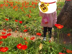 -晓港公园