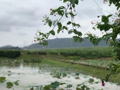 -光明小镇欢乐田园