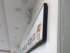 -美联众合动物医院·24h京西诊疗中心