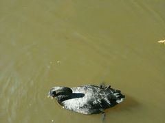 -昆明动物园