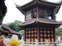 -碧江金楼