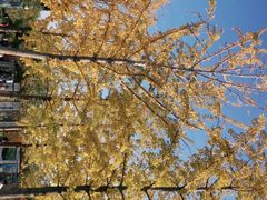 -永定河休闲森林公园