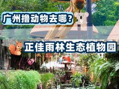 -正佳雨林生态植物园