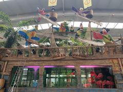 -南宫五洲植物乐园