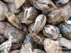 -北戴河庆山饭店·海鲜砂锅粥(北戴河黑石路店)