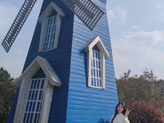 -铁山坪森林公园