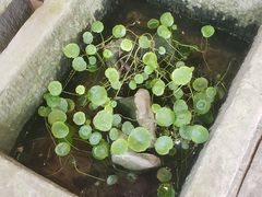 -驿舍·民國老营房院子私房菜(科学会堂店)