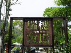 -瑞穗牧场