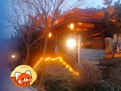 -徂徕山森林康养度假谷温泉