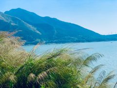 -羚羊峡古栈道森林公园