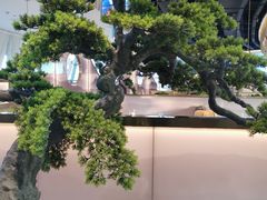 -马家斑.鲜鱼火锅(松湖万科店)