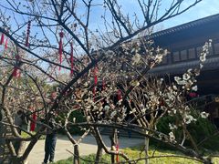 -钱王祠