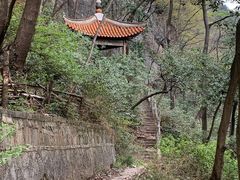 -黔灵山公园