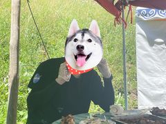 -关山牧场王师烤全羊