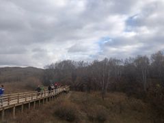 -御道口草原森林风景区