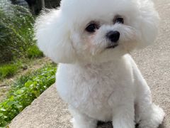 -乐琪宠物(青塔西路店)