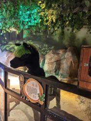 -酷嗒动物文化乐园(cutezoo西溪乐天城店)