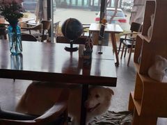 -了不起的考拉咖啡店(高新店)