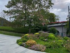 -云溪植物园